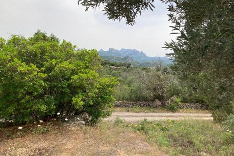 Villa i Arzachena, Sassari, Arzachena - € 650.000 | Ref: 516 - foto 21