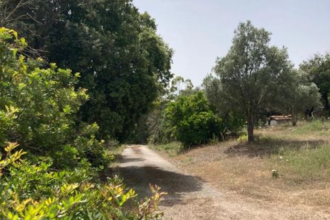 Villa i Arzachena, Sassari, Arzachena - € 650.000 | Ref: 516 - foto 22