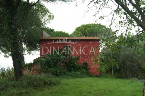 Landejendom i Peccioli, Pisa, Peccioli - € 170.000 | Ref: 1003-156C - foto 4