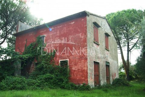 Landejendom i Peccioli, Pisa, Peccioli - € 170.000 | Ref: 1003-156C - foto 6