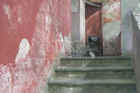 Landejendom i Peccioli, Pisa, Peccioli - € 170.000 | Ref: 1003-156C - foto 9