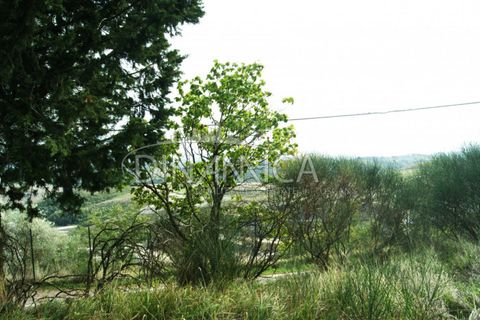 Landejendom i Peccioli, Pisa, Peccioli - € 170.000 | Ref: 1003-156C - foto 16