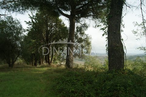 Landejendom i Peccioli, Pisa, Peccioli - € 170.000 | Ref: 1003-156C - foto 19
