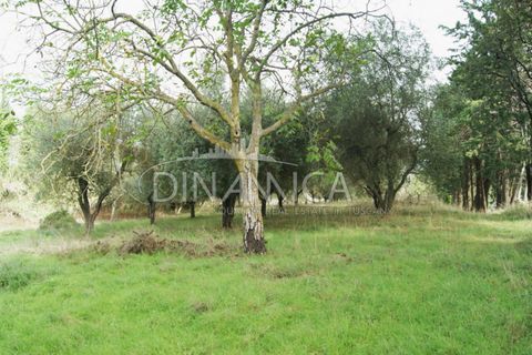 Landejendom i Peccioli, Pisa, Peccioli - € 170.000 | Ref: 1003-156C - foto 20