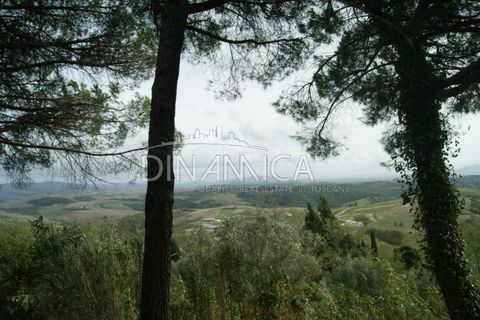 Landejendom i Peccioli, Pisa, Peccioli - € 170.000 | Ref: 1003-156C - foto 21