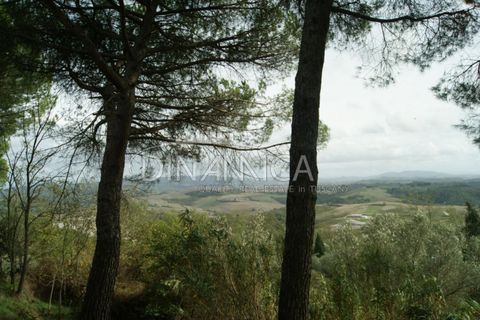 Landejendom i Peccioli, Pisa, Peccioli - € 170.000 | Ref: 1003-156C - foto 23