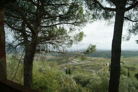 Landejendom i Peccioli, Pisa, Peccioli - € 170.000 | Ref: 1003-156C - foto 24