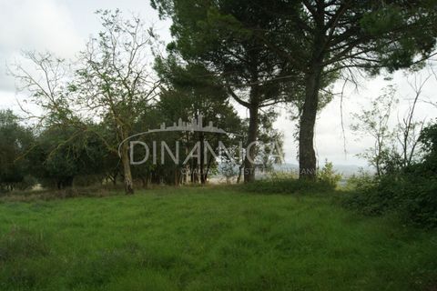 Landejendom i Peccioli, Pisa, Peccioli - € 170.000 | Ref: 1003-156C - foto 26
