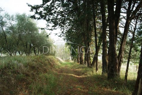 Landejendom i Peccioli, Pisa, Peccioli - € 170.000 | Ref: 1003-156C - foto 27