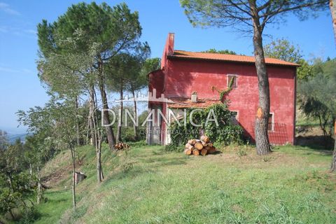 Landejendom i Peccioli, Pisa, Peccioli - € 170.000 | Ref: 1003-156C - foto 1