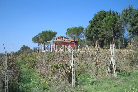 Landejendom i Peccioli, Pisa, Peccioli - € 170.000 | Ref: 1003-156C - foto 2