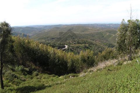 Farm i Monchique, Faro, Monchique - € 295.000 | Ref: NU_5395 - foto 2