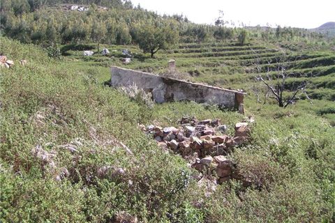 Farm i Monchique, Faro, Monchique - € 295.000 | Ref: NU_5395 - foto 3