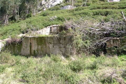 Farm i Monchique, Faro, Monchique - € 295.000 | Ref: NU_5395 - foto 4