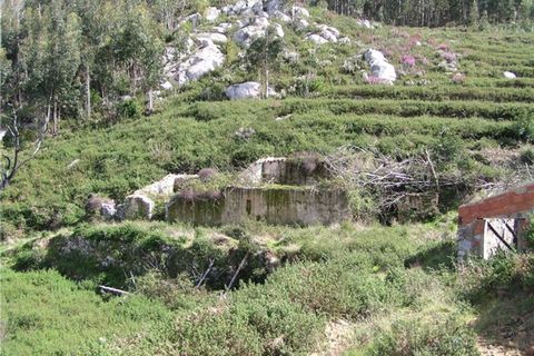 Farm i Monchique, Faro, Monchique - € 295.000 | Ref: NU_5395 - foto 5