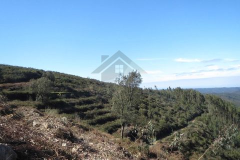 Farm i Monchique, Faro, Monchique - € 295.000 | Ref: NU_5395 - foto 6