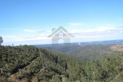 Farm i Monchique, Faro, Monchique - € 295.000 | Ref: NU_5395 - foto 7