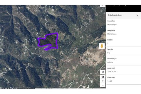 Farm i Monchique, Faro, Monchique - € 295.000 | Ref: NU_5395 - foto 9