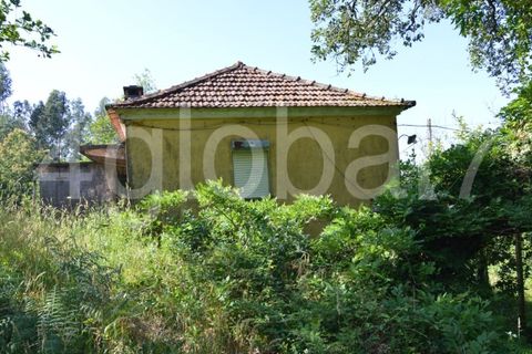 Villa a Sever do Vouga, Aveiro, Sever do Vouga - € 65.000 | Ref: MOR_01181961 - foto 2