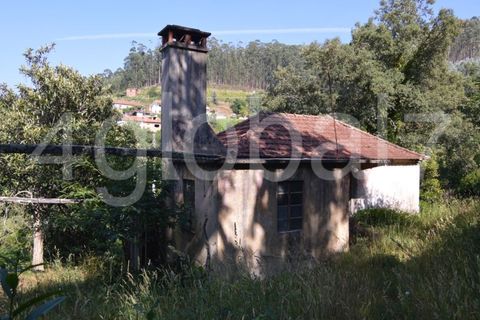 Villa a Sever do Vouga, Aveiro, Sever do Vouga - € 65.000 | Ref: MOR_01181961 - foto 3