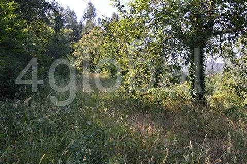 Villa a Sever do Vouga, Aveiro, Sever do Vouga - € 65.000 | Ref: MOR_01181961 - foto 4