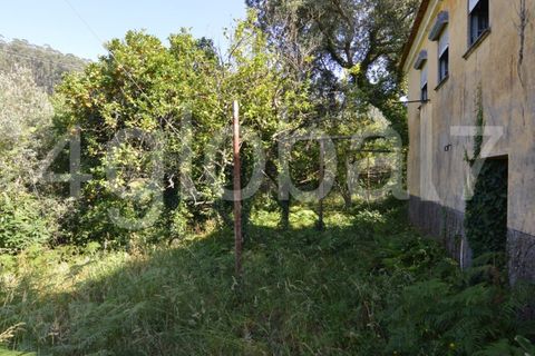 Villa a Sever do Vouga, Aveiro, Sever do Vouga - € 65.000 | Ref: MOR_01181961 - foto 5