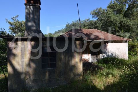 Villa a Sever do Vouga, Aveiro, Sever do Vouga - € 65.000 | Ref: MOR_01181961 - foto 7