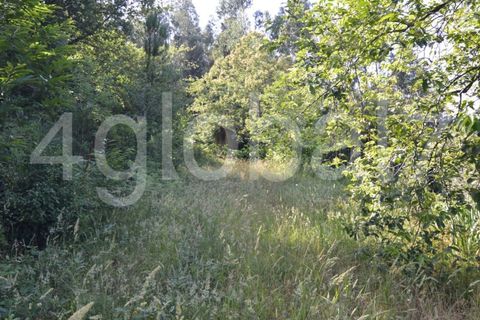 Villa a Sever do Vouga, Aveiro, Sever do Vouga - € 65.000 | Ref: MOR_01181961 - foto 8