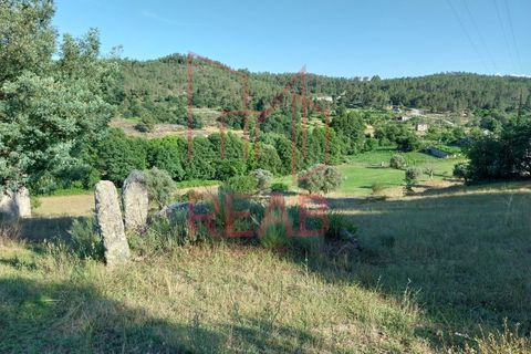 Terra a Boticas, Vila Real, Boticas - € 49.000 | Ref: 100/2023 - foto 5