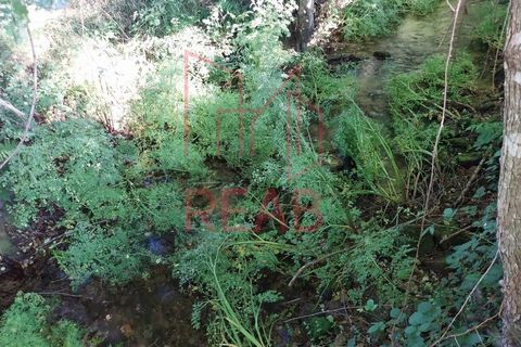 Terra a Boticas, Vila Real, Boticas - € 49.000 | Ref: 100/2023 - foto 9