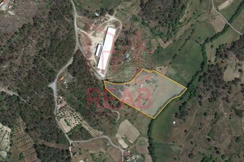 Terra a Boticas, Vila Real, Boticas - € 49.000 | Ref: 100/2023 - foto 10