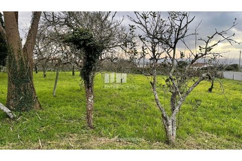 Helårsgrund i Areosa, Viana do Castelo, Areosa - € 430.000 | Ref: VCM13839(2) - foto 10