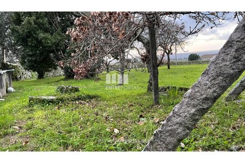 Helårsgrund i Areosa, Viana do Castelo, Areosa - € 430.000 | Ref: VCM13839(2) - foto 23