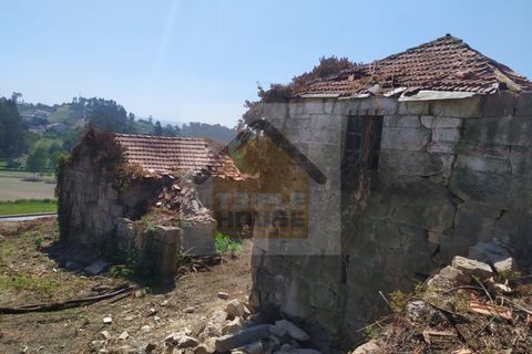 Farm i Paredes, Porto, Paredes - € 350.000 | Ref: 964 - foto 2