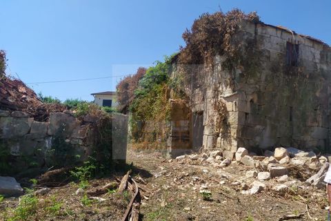 Farm i Paredes, Porto, Paredes - € 350.000 | Ref: 964 - foto 3