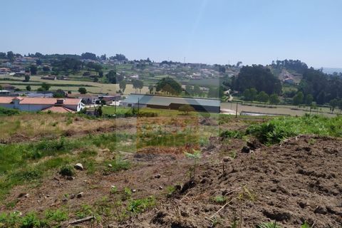 Farm i Paredes, Porto, Paredes - € 350.000 | Ref: 964 - foto 4