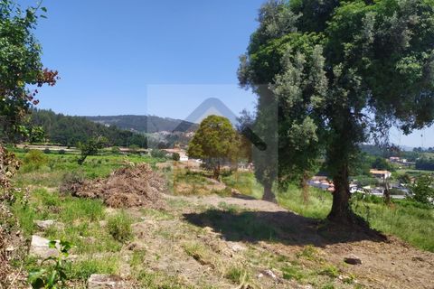 Farm i Paredes, Porto, Paredes - € 350.000 | Ref: 964 - foto 5