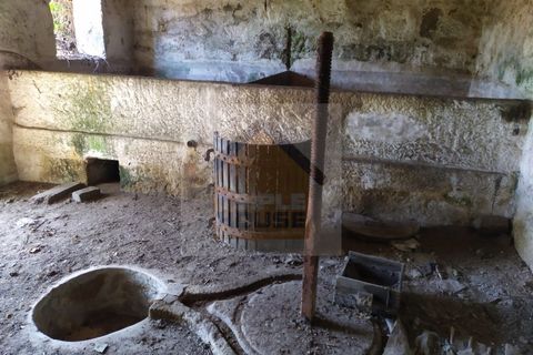 Farm i Paredes, Porto, Paredes - € 350.000 | Ref: 964 - foto 6