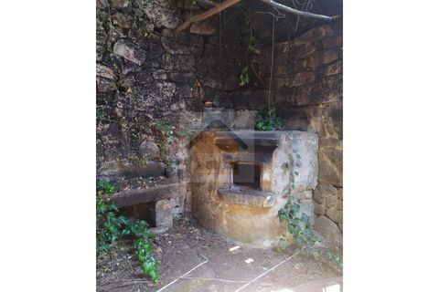 Farm i Paredes, Porto, Paredes - € 350.000 | Ref: 964 - foto 7
