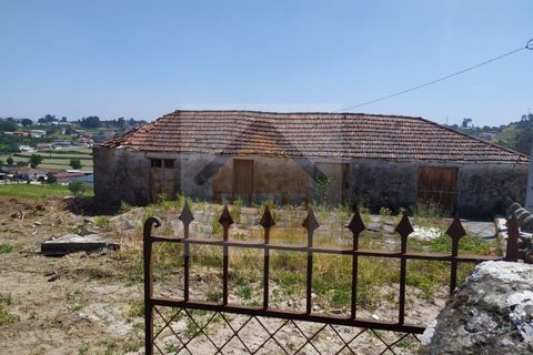 Farm i Paredes, Porto, Paredes - € 350.000 | Ref: 964 - foto 8