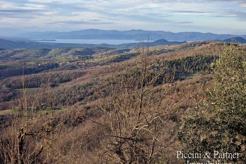 Byhus i Piegaro, Perugia, Piegaro - € 115.000 | Ref: PG1538 - foto 50