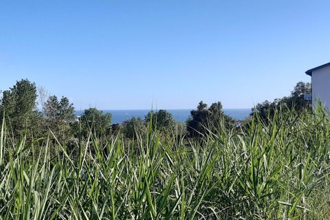 Helårsgrund i Buarcos, Coimbra, Buarcos - € 250.000 | Ref: 350TR - foto 1