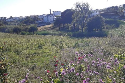 Helårsgrund i Buarcos, Coimbra, Buarcos - € 250.000 | Ref: 350TR - foto 2