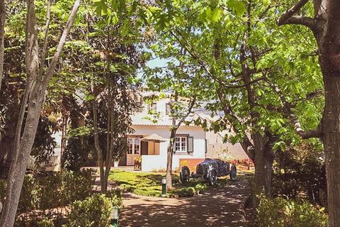 Villa i Ponta do Sol, Madeira, Ponta do Sol - € 880.000 | Ref: #1305 - foto 12