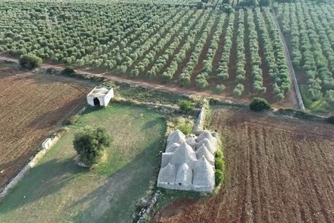 Villa i Ostuni, Brindisi, Ostuni - € 450.000 | Ref: 570 - foto 3