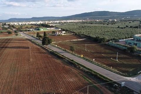 Villa i Ostuni, Brindisi, Ostuni - € 450.000 | Ref: 570 - foto 6
