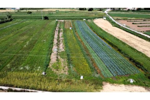 Helårsgrund i Alcobaca, Leiria, Alcobaca - € 10.000 | Ref: TER_748 - foto 1