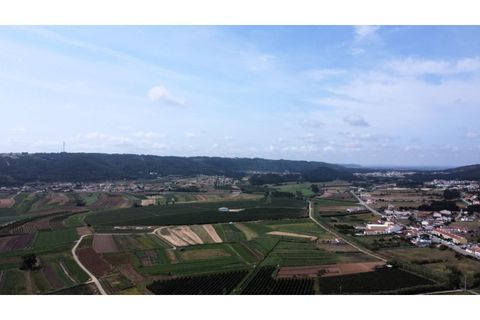 Helårsgrund i Alcobaca, Leiria, Alcobaca - € 10.000 | Ref: TER_748 - foto 4
