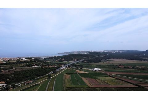 Helårsgrund i Alcobaca, Leiria, Alcobaca - € 10.000 | Ref: TER_748 - foto 5