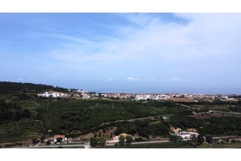 Helårsgrund i Alcobaca, Leiria, Alcobaca - € 10.000 | Ref: TER_748 - foto 7